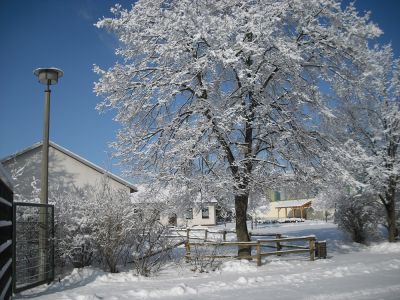 Schulgelände